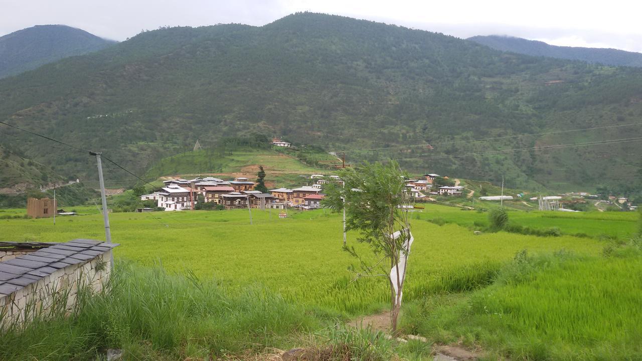 Chimi Lhakhang Village Homestay Punakha Exterior photo